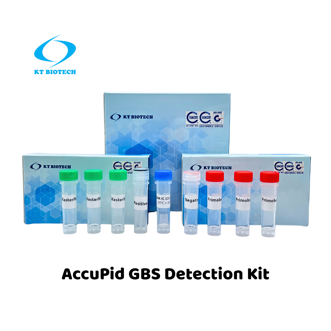 AccuPid GBS Detection Kit (RUO)