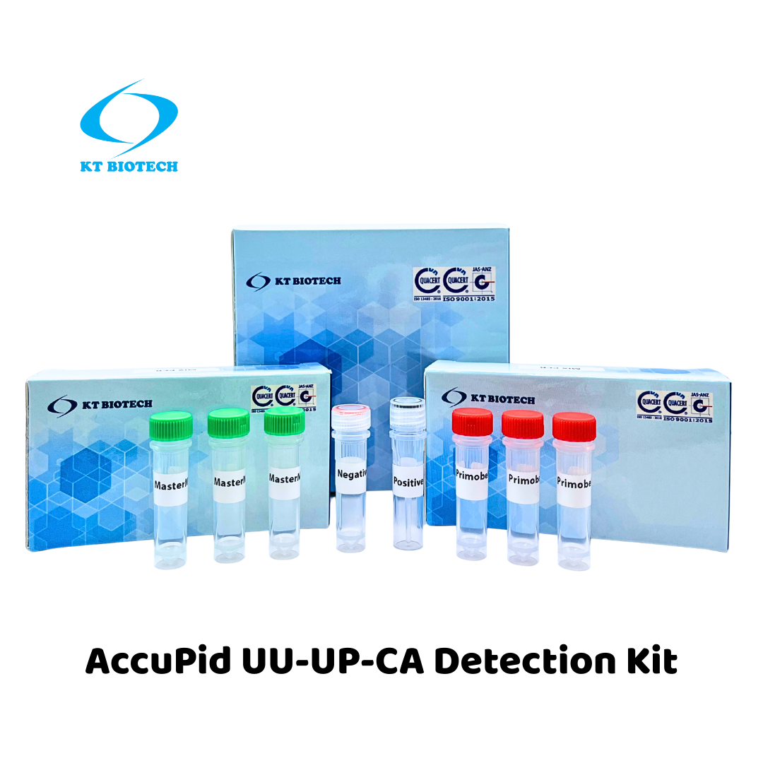 AccuPid UU-UP-CA Detection Kit (RUO)