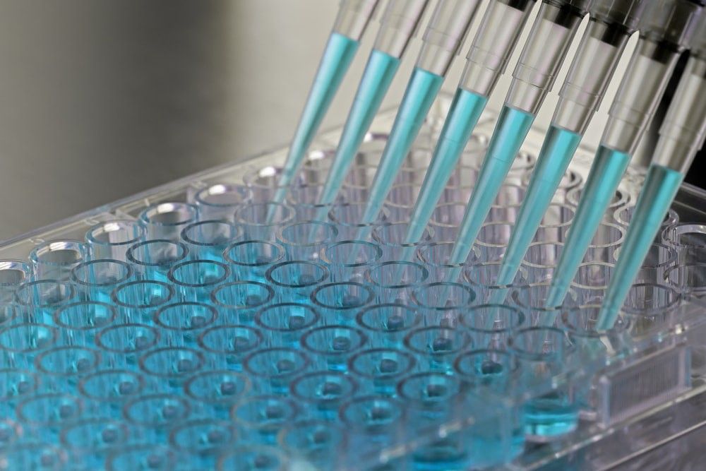 Kit Elisa