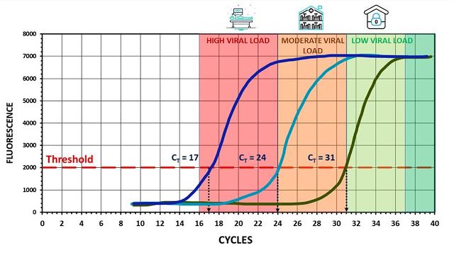 Kit Test PCR