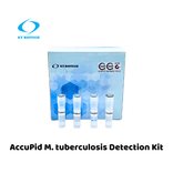 AccuPid M. tuberculosis Detection Kit (RUO)