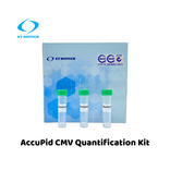 AccuPid CMV Quantification Kit (RUO)