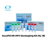 AccuPid HR-HPV genotyping Kit (16,18) (RUO)