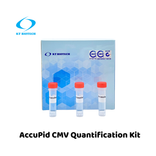 AccuPid CMV Quantification Kit (RUO)