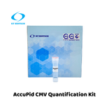 AccuPid CMV Quantification Kit (RUO)