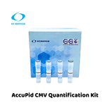 AccuPid CMV Quantification Kit (RUO)