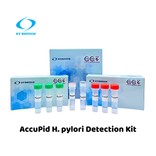 AccuPid H. pylori Detection Kit