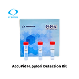 AccuPid H. pylori Detection Kit