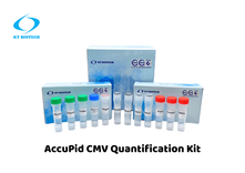 AccuPid CMV Quantification Kit (RUO)