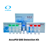 AccuPid GBS Detection Kit (RUO)