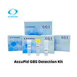 AccuPid GBS Detection Kit (RUO)