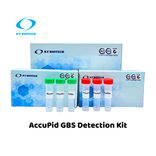 AccuPid GBS Detection Kit (RUO)