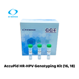 AccuPid HR-HPV genotyping Kit (16,18) (RUO)