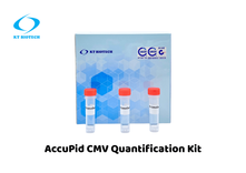 AccuPid CMV Quantification Kit (RUO)