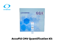 AccuPid CMV Quantification Kit (RUO)