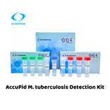 AccuPid M. tuberculosis Detection Kit (RUO)