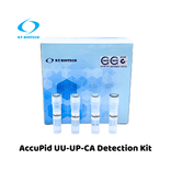 AccuPid UU-UP-CA Detection Kit (RUO)
