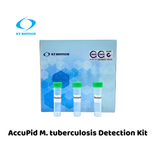 AccuPid M. tuberculosis Detection Kit (RUO)