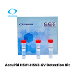 AccuPid HSV1-HSV2-GV Detection Kit (RUO)