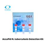 AccuPid M. tuberculosis Detection Kit (RUO)