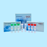 AccuPid Beta- Thalassemia Genotyping Kit (RUO)