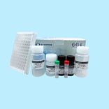 AccuElis Strongyloides stercoralis Detection Kit