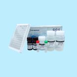 AccuElis Strongyloides stercoralis Detection Kit