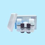 AccuElis Strongyloides stercoralis Detection Kit