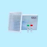 AccuElis Strongyloides stercoralis Detection Kit