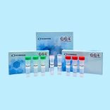 AccuPid ASFV Detection Kit