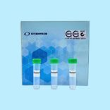 AccuPid ASFV Detection Kit