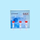 AccuPid ASFV Detection Kit