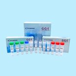 AccuPid EHP Quantification Kit