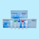 AccuPid Ehrlichia spp.Detection Kit