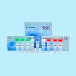 AccuPid GBS Detection Kit