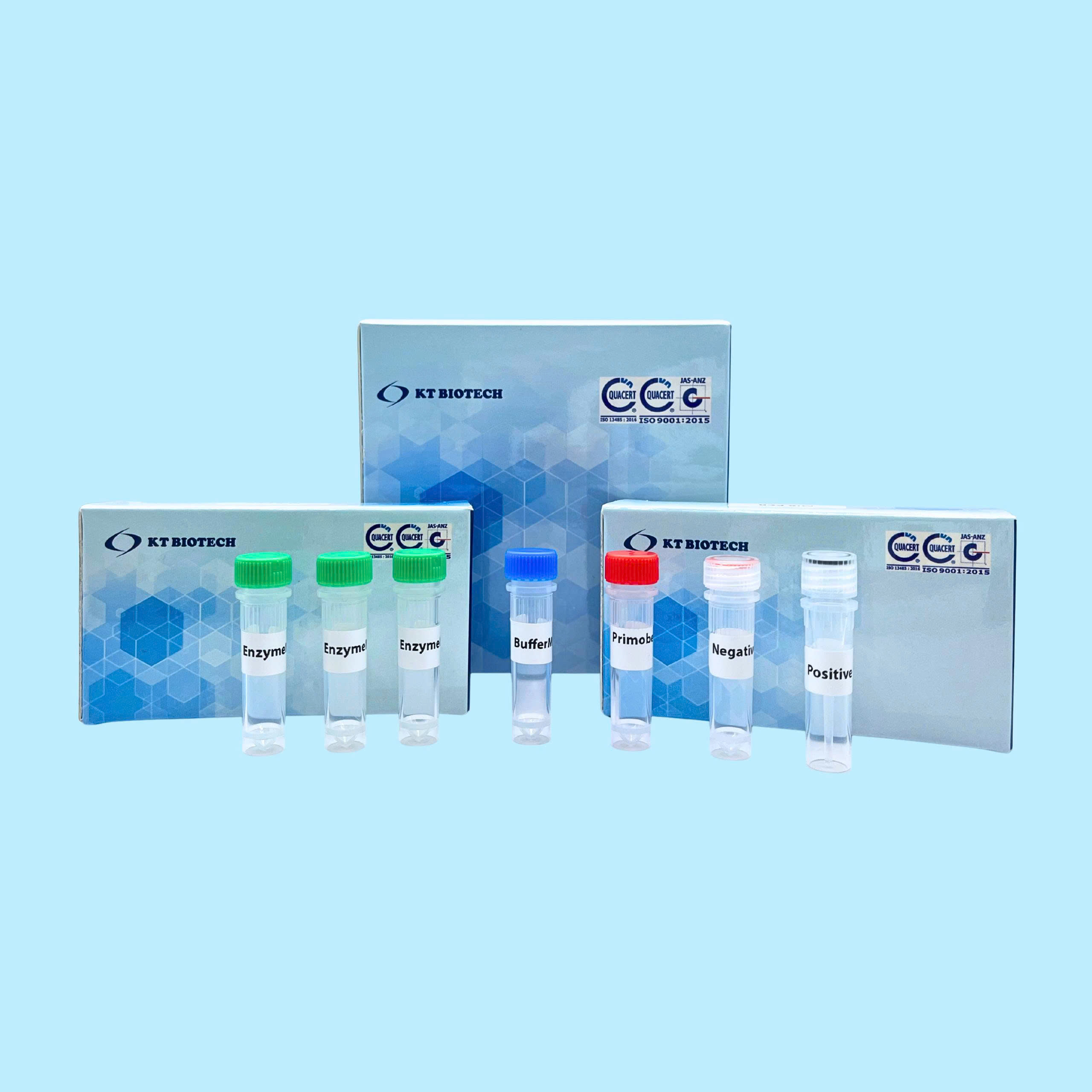 AccuPid CSFV Detection Kit