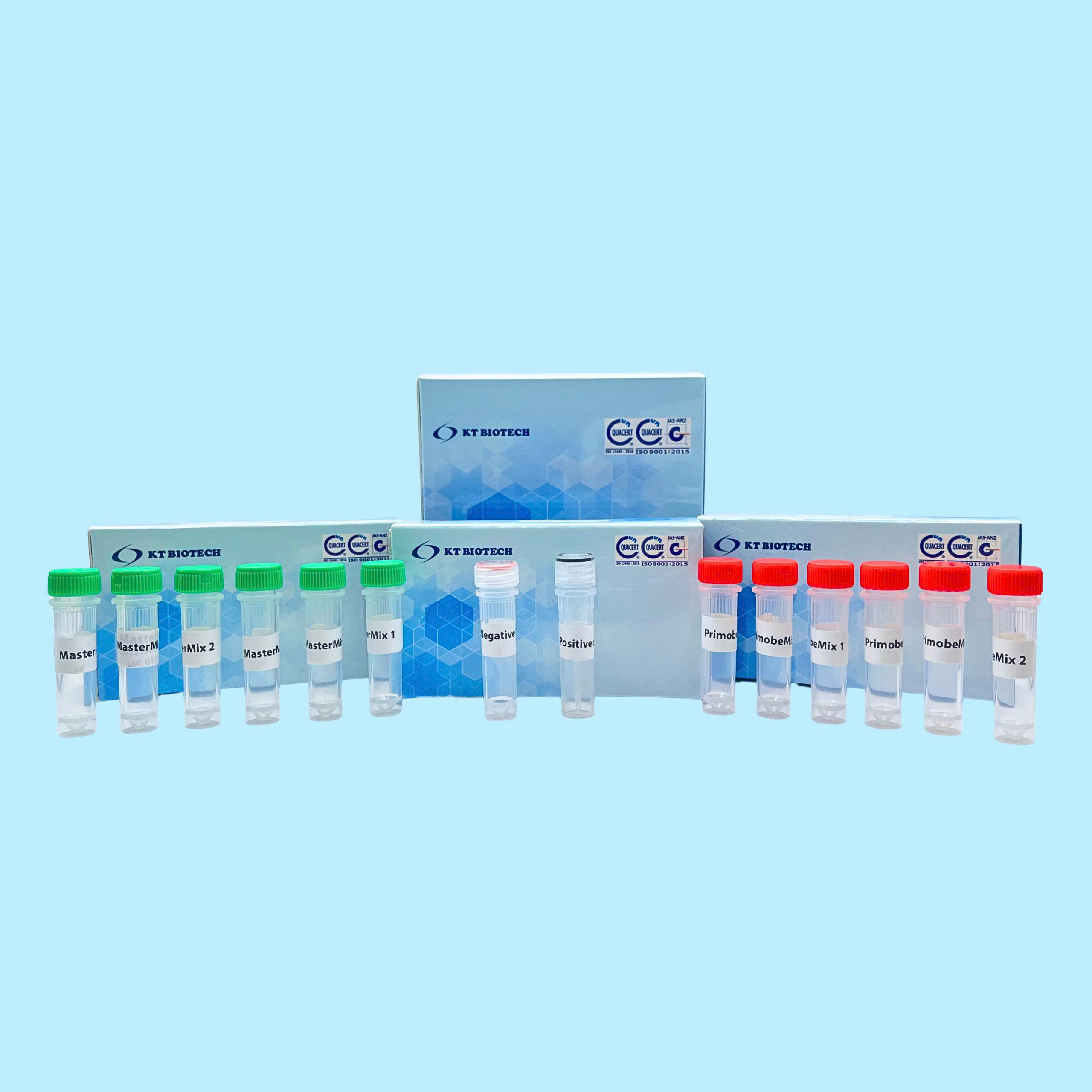 AccuPid Influenza A H5N1 virus Detection Kit