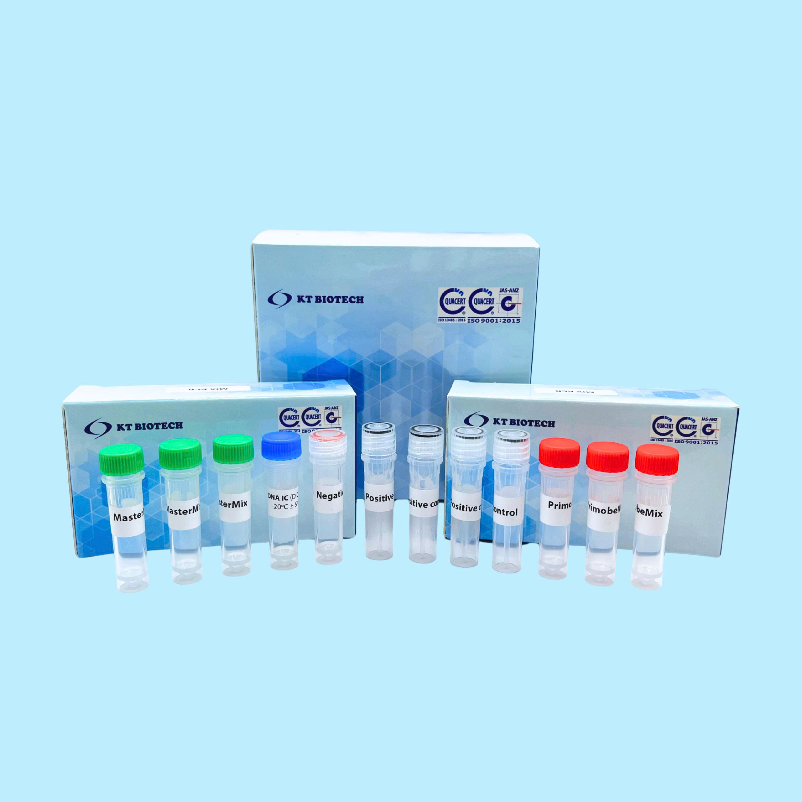 AccuPid EHP Quantification Kit