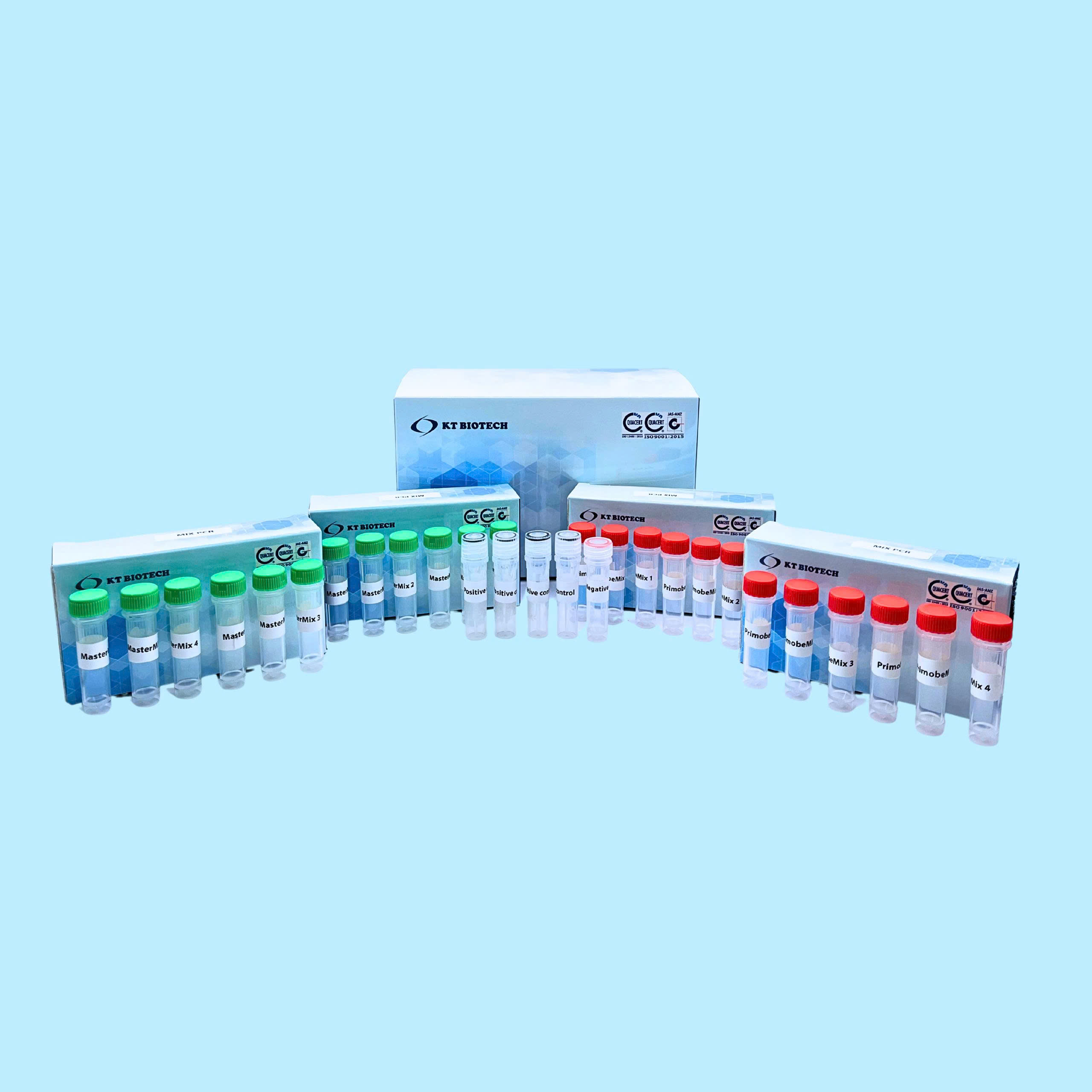 AccuPid HPV Genotyping Kit (16 types)